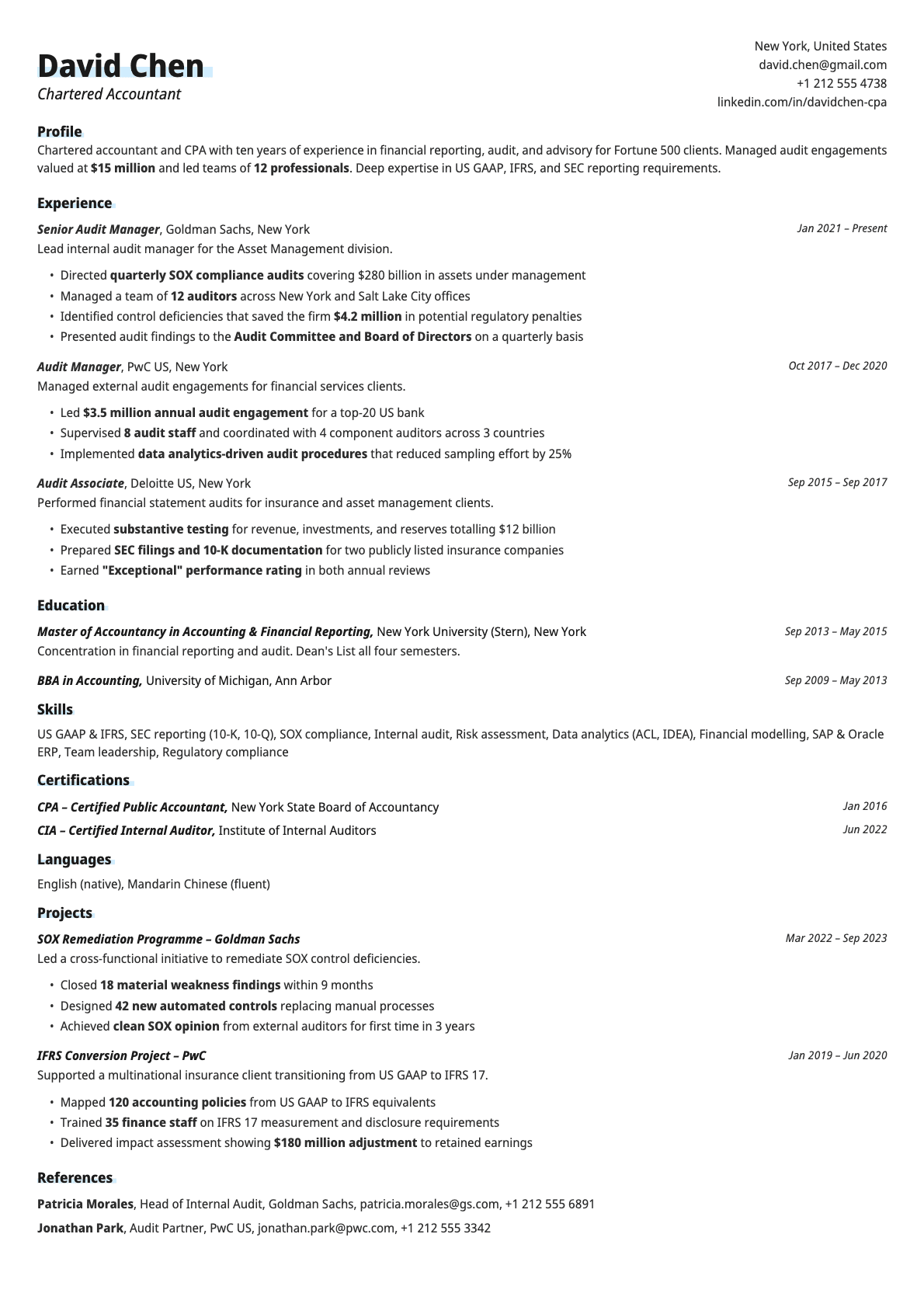 Copper resume template preview
