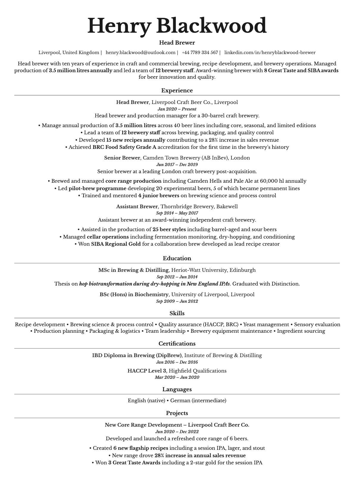 Topaz resume template preview